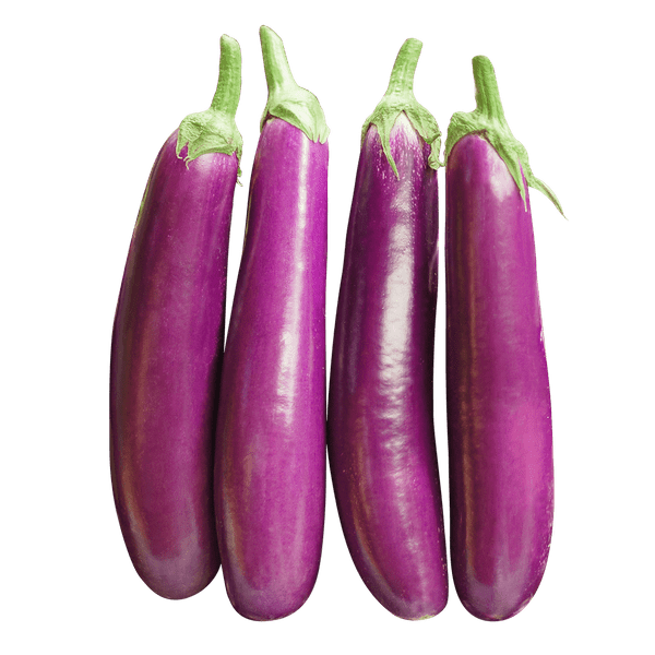 Long Brinjal 500gm - salpers.ch