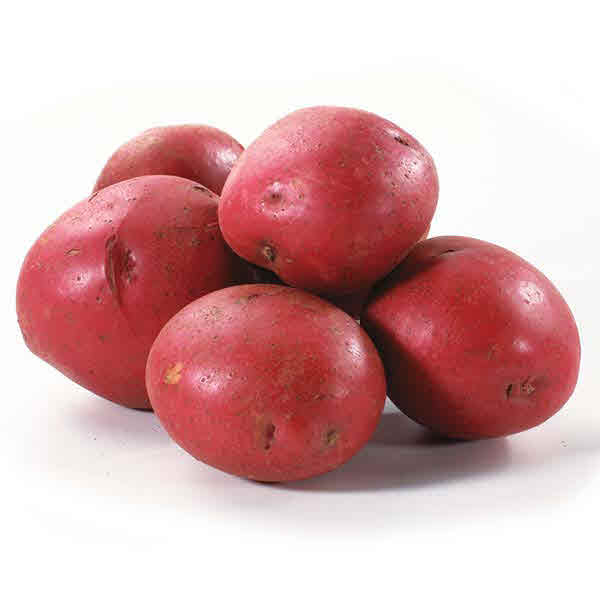 Red Potato 500g - salpers.ch