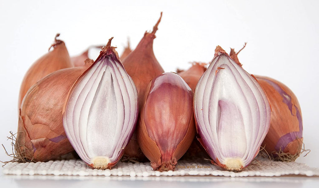 Shallots (Small Onion) 500g - salpers.ch