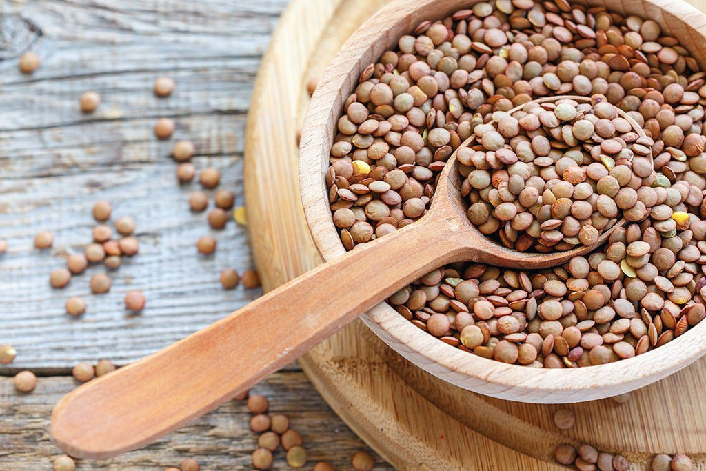 TRS Brown Lentils - 1Kg - salpers.ch