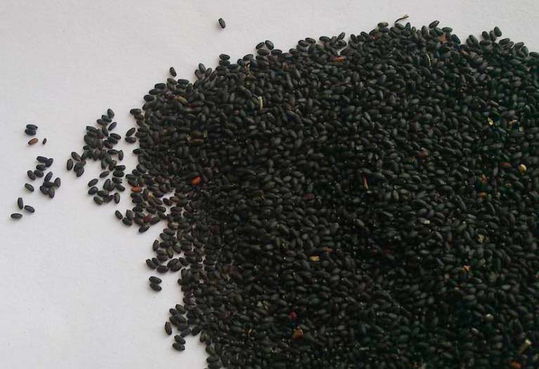 TRS Tukmaria - 100g - salpers.ch